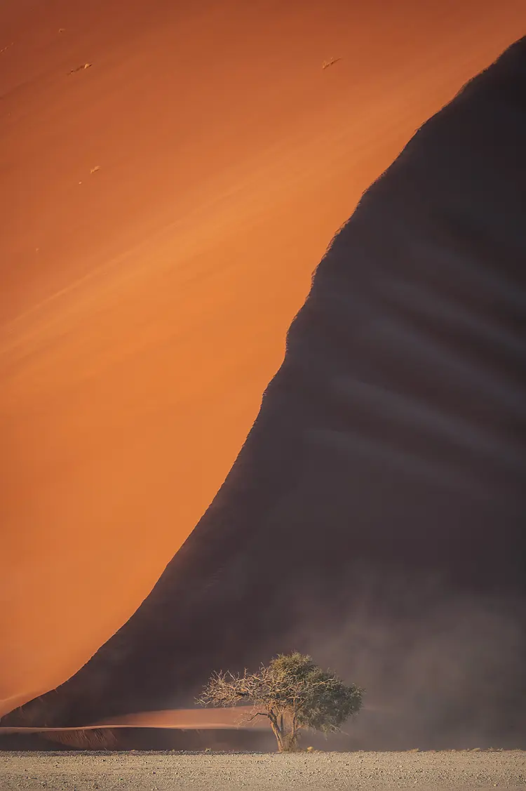 Scale And Loneliness, Dune 45, Namibia
