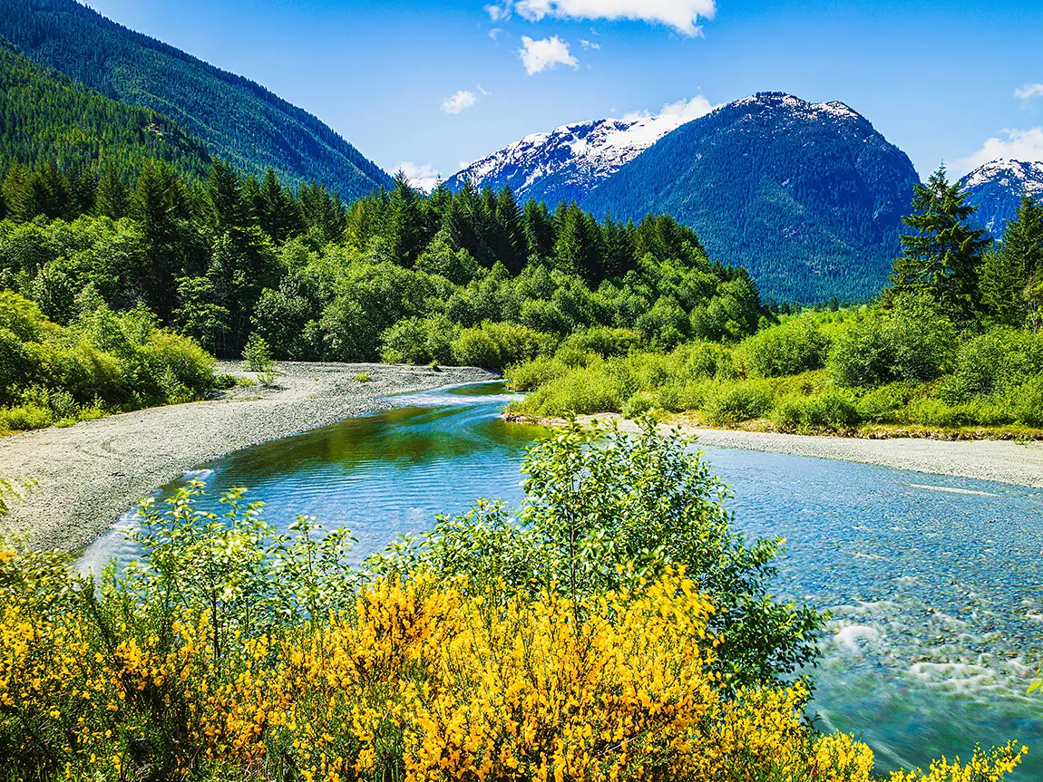Spring Time At Thelwood Creek, Strathcona Park, Campbell River, Vancouver Island, Canada