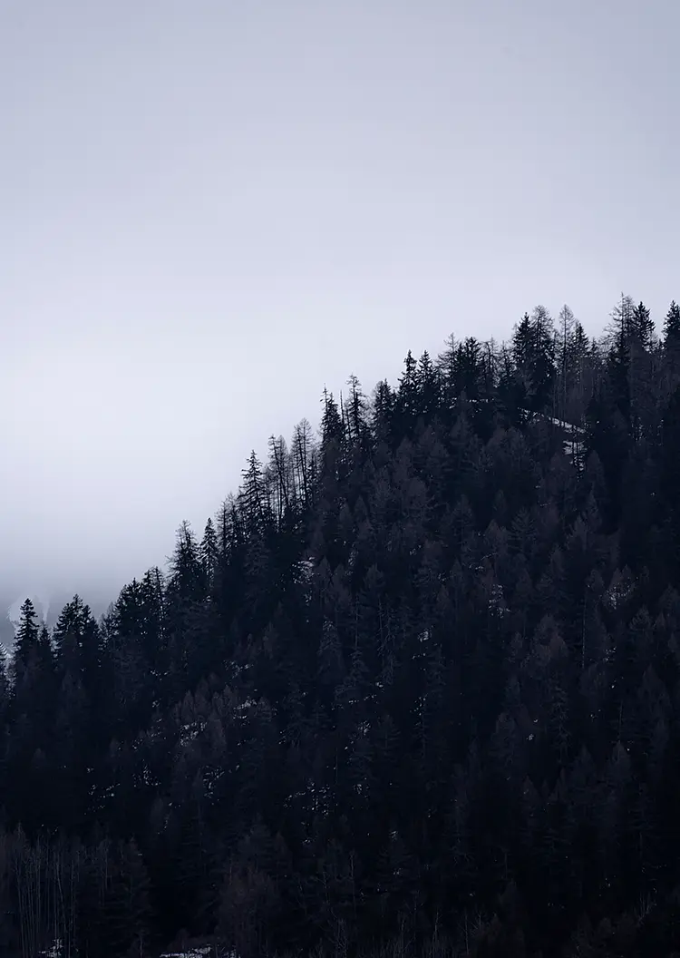 White Shadow, Courmayeur, Aosta Valley, Italy