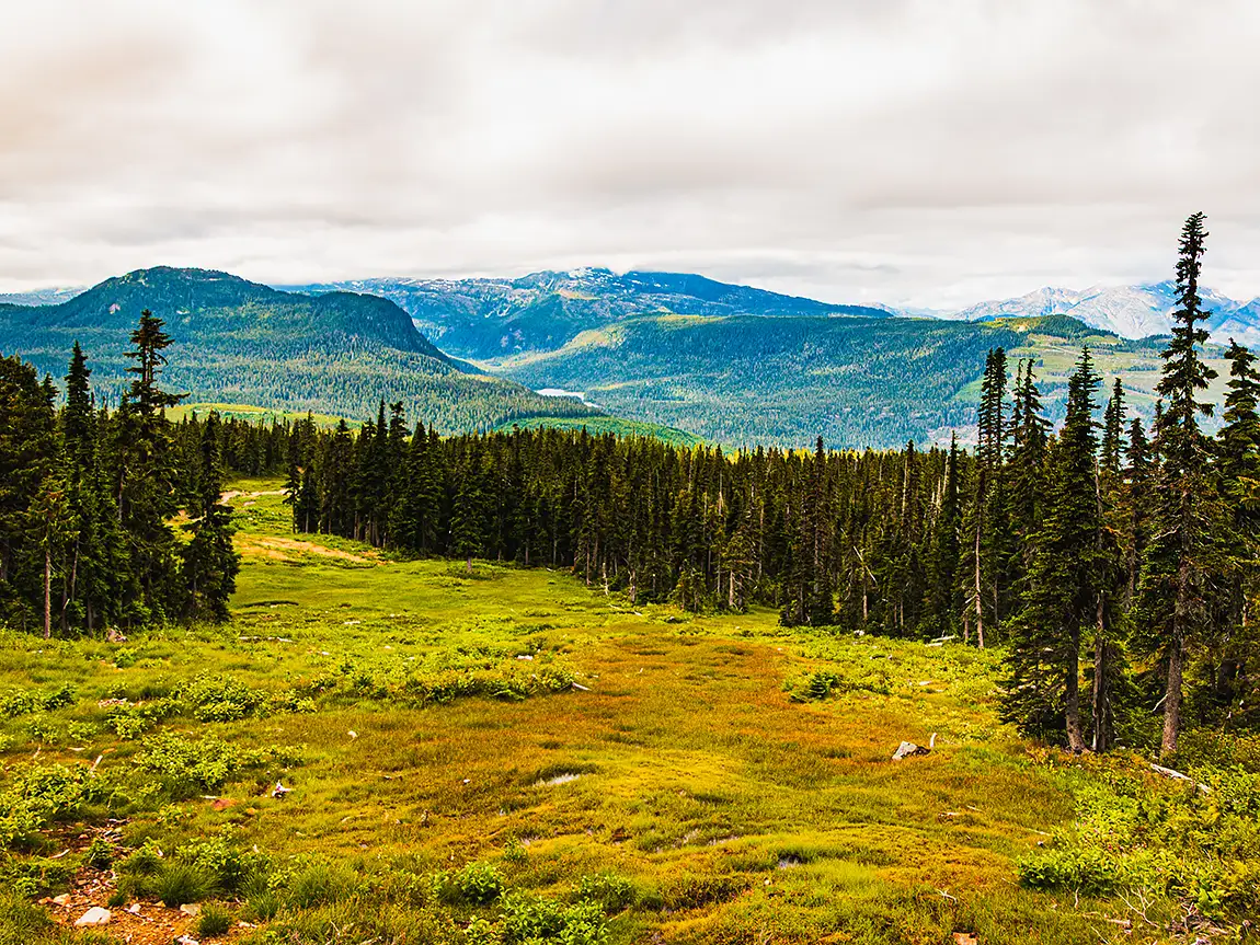 A Way Down, Mt Washington, Courtenay, Vancouver Island, Canada