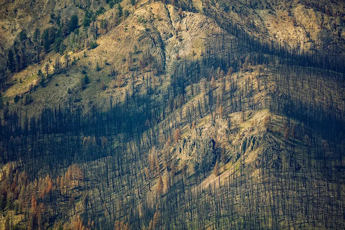After The Fire, Sawtooth Range, Idaho, USA