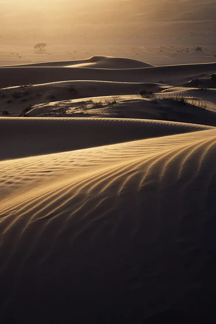 Arabian Desert Sunset, Oman