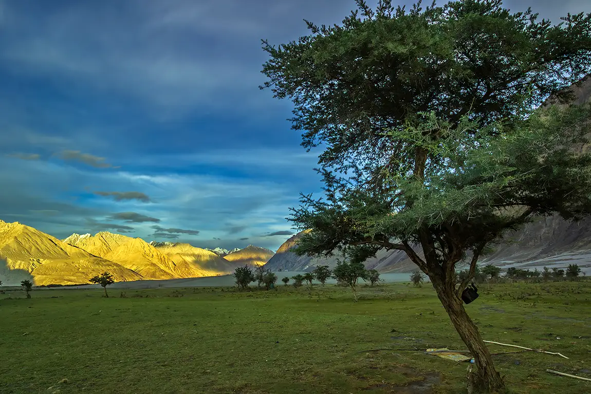 Cold Desert Landscape, Nubra Valley, Leh, India