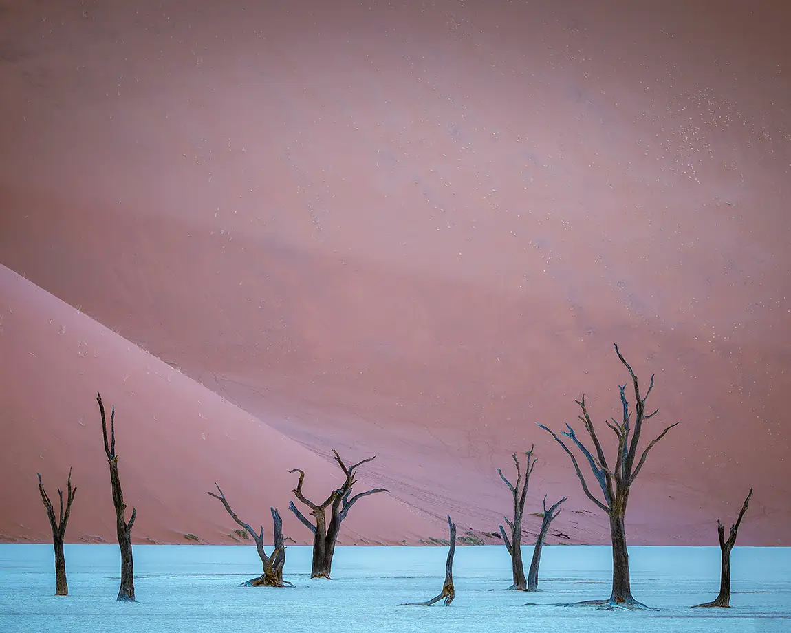 Deadvlei Ghost Trees, Sossusvlei, Namibia