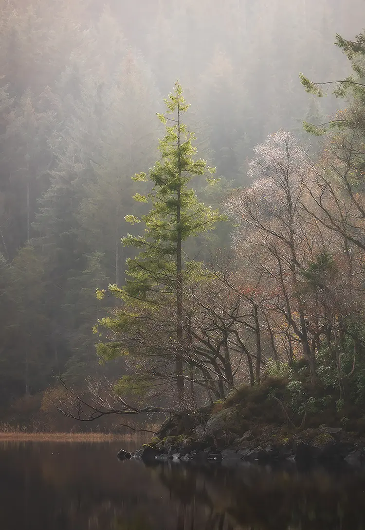 Early Morning Light Over Loch Ard, The Trossachs, Stirlingshire, Scotland