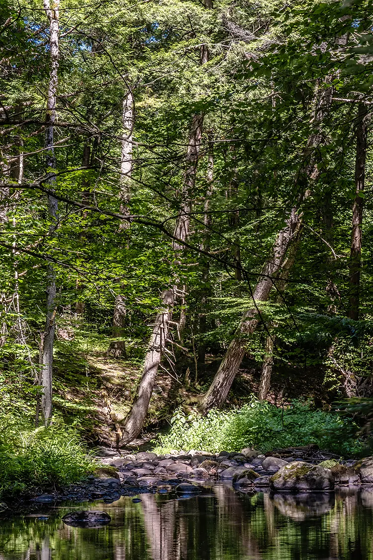 Orra Phelps Preserve, Wilton, NY, USA