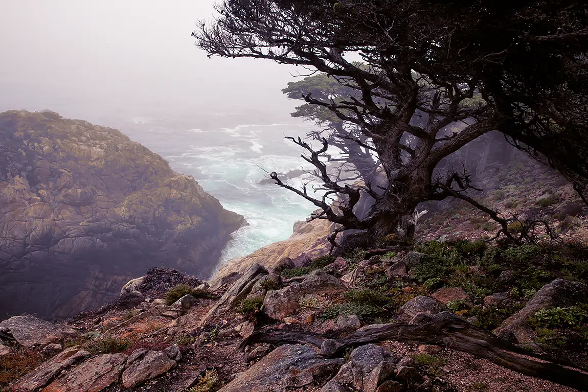 Point Lobos, Big Sur, California, USA