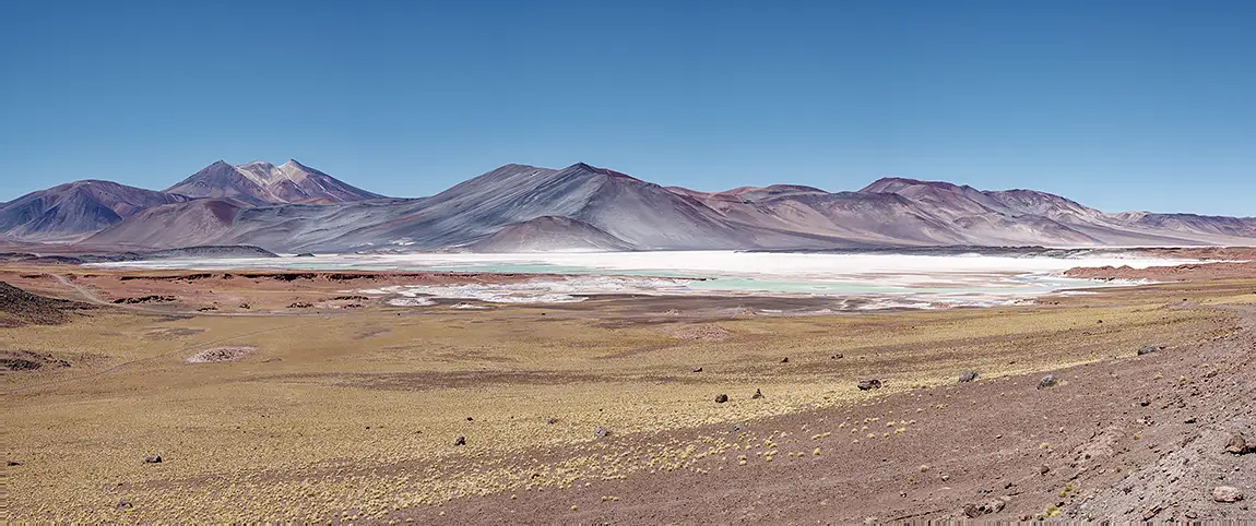 Salar De Talar, San Pedro De Atacama, Chile