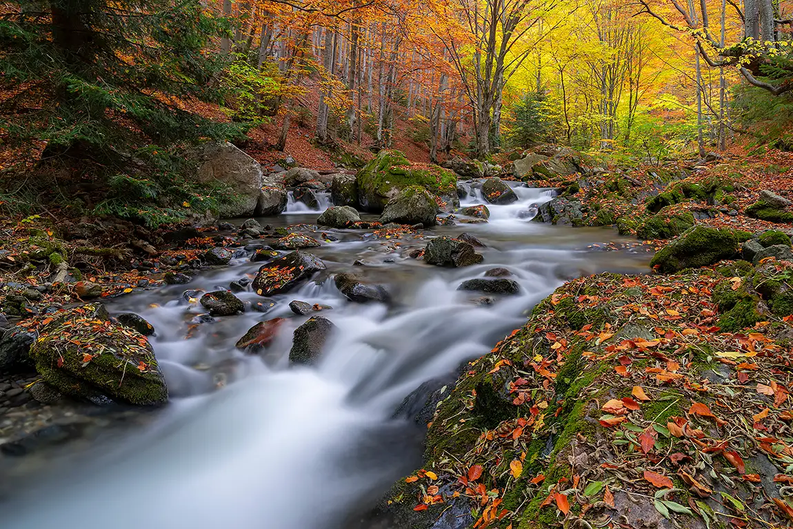 Stara Reka, Karlovo, Bulgaria