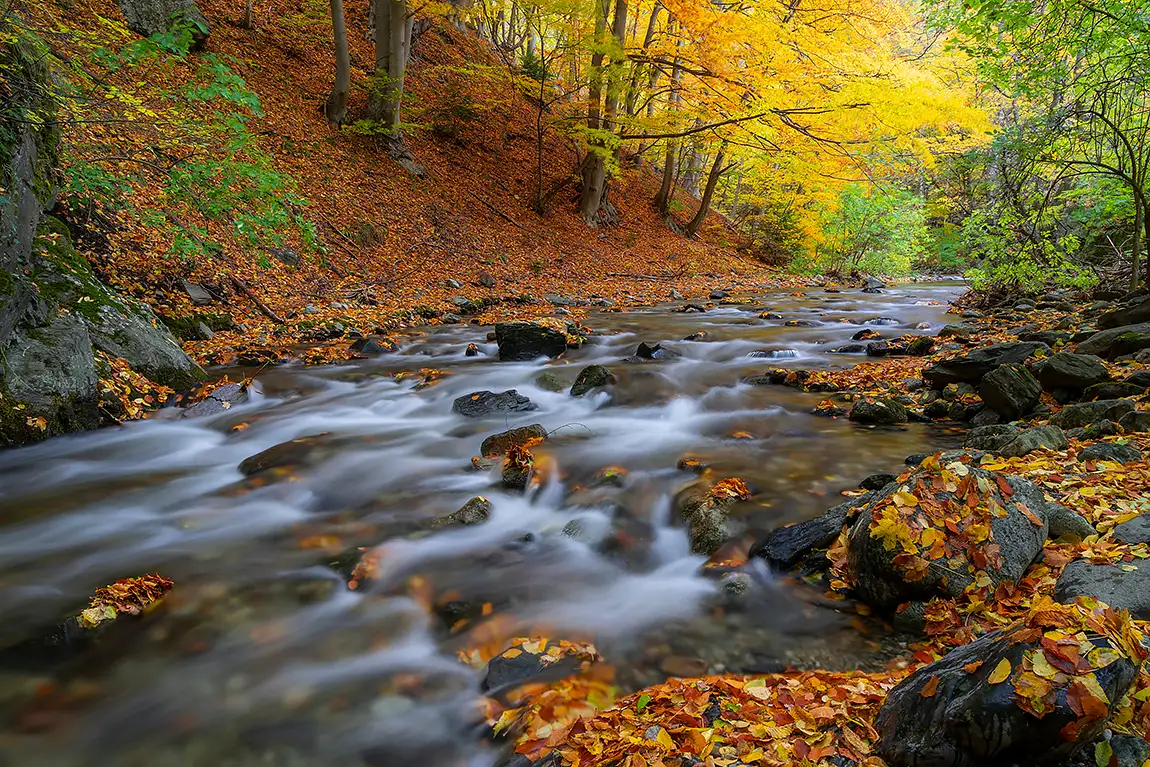 Stara Reka Reserve, Karlovo, Bulgaria