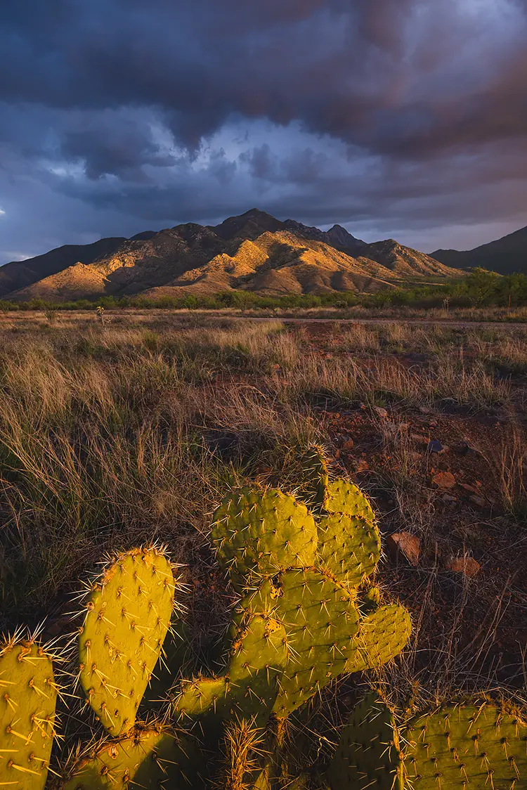 Stormy Sunset, Madera Canyon, Arizona, USA