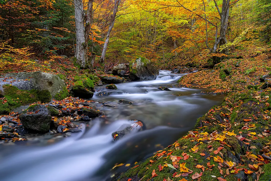 The Stara Reka, Karlovo, Bulgaria