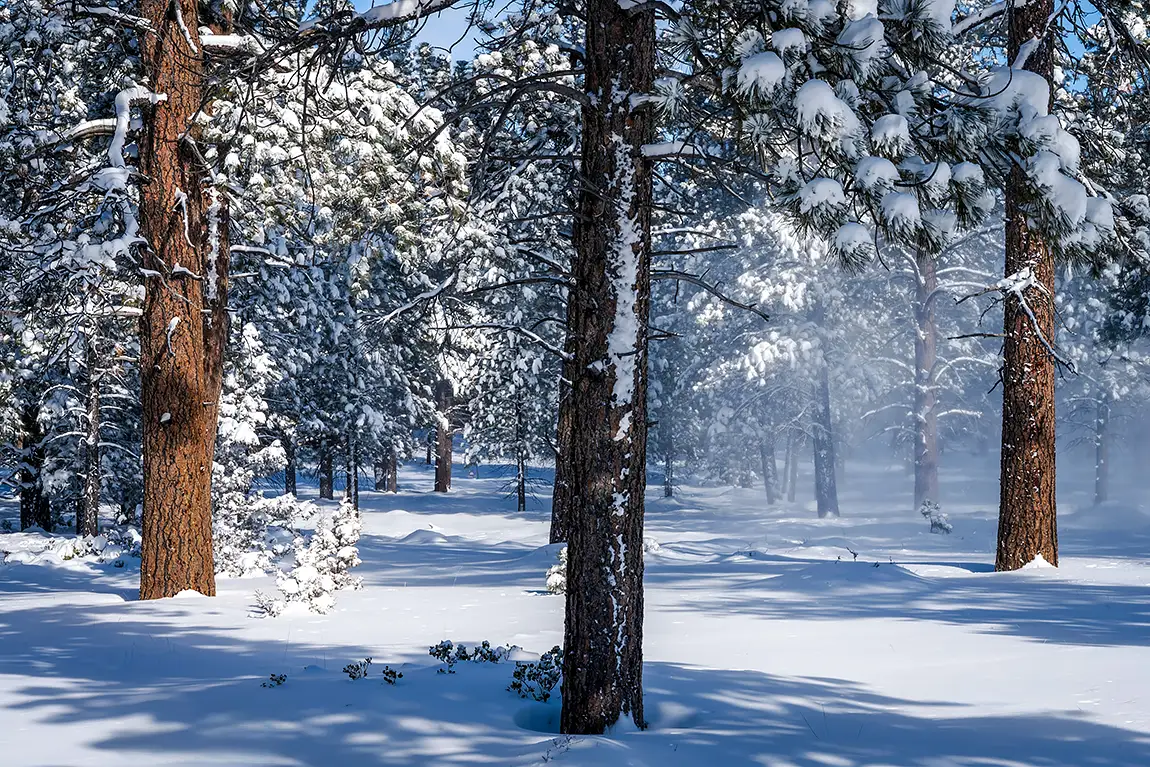 Winter Magic, Bryce Canyon National Park, Utah, USA