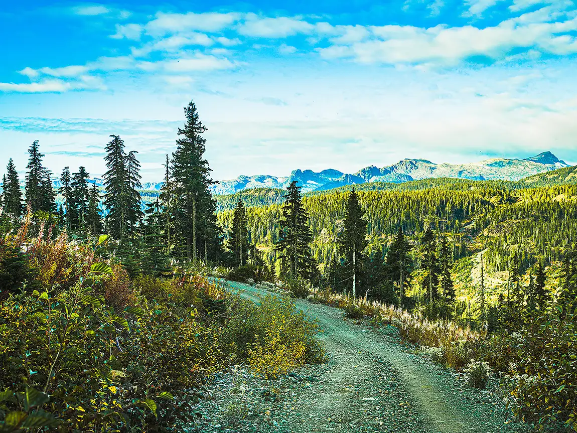 A Road Less Travelled, Comox Valley, Vancouver Island, BC, Canada