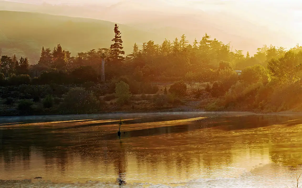 Golden Hour, Fremont, California, USA
