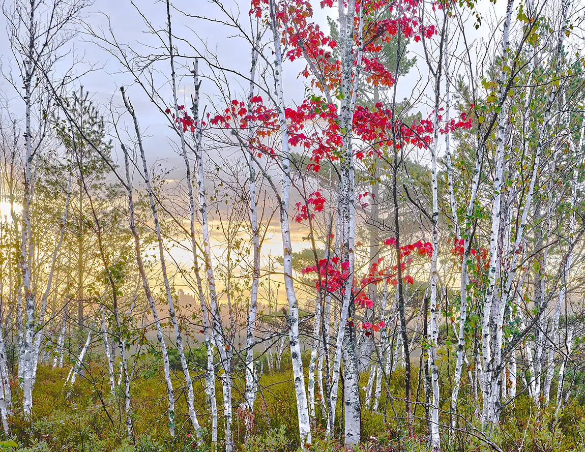 Michigan Autumn, USA