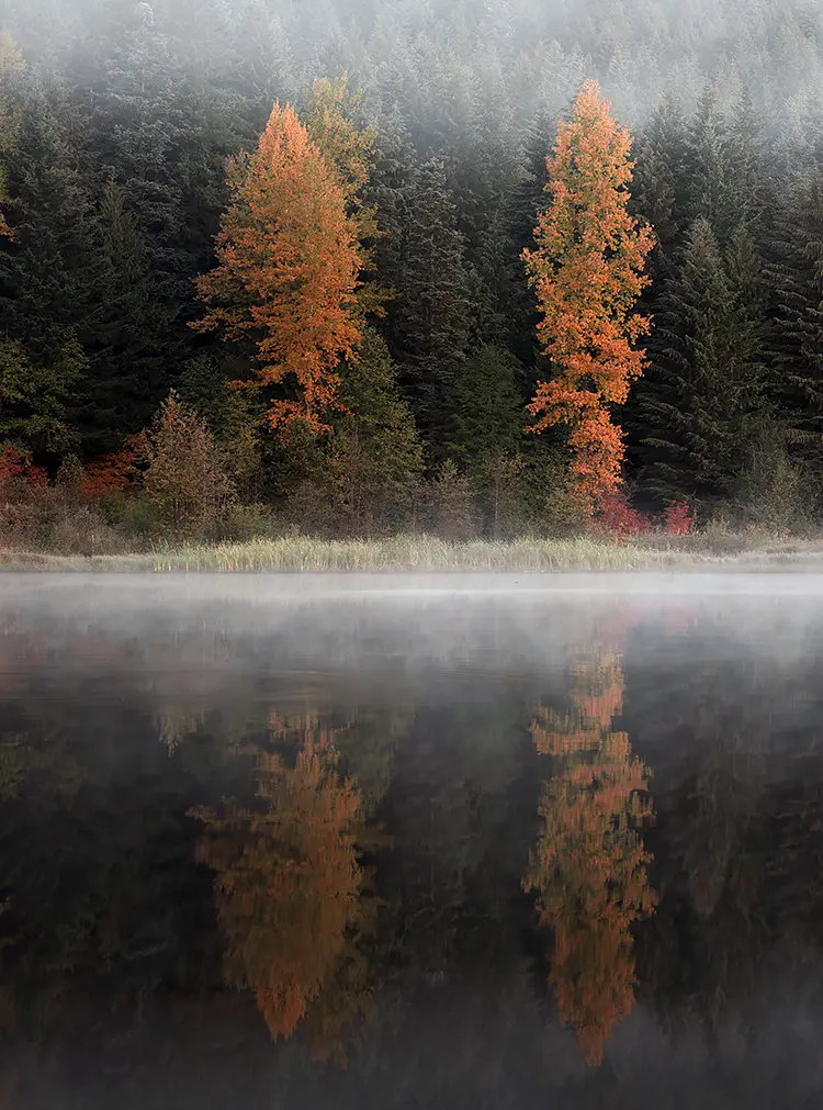 Misty Morning At Trillium Lake, Oregon, USA