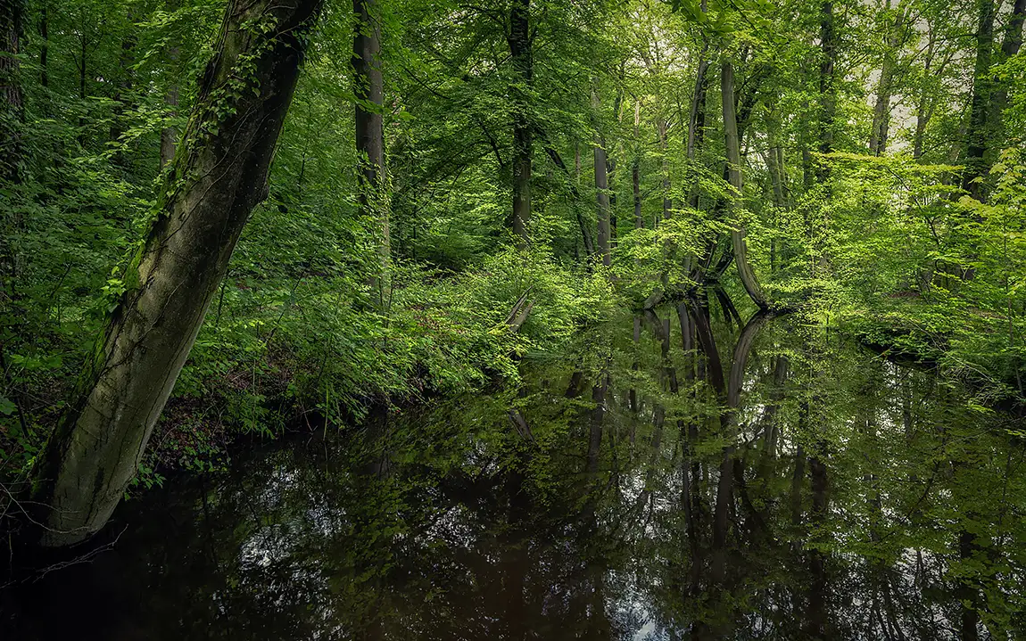Oelerbeek, Twickel Estate, Twente, The Netherlands