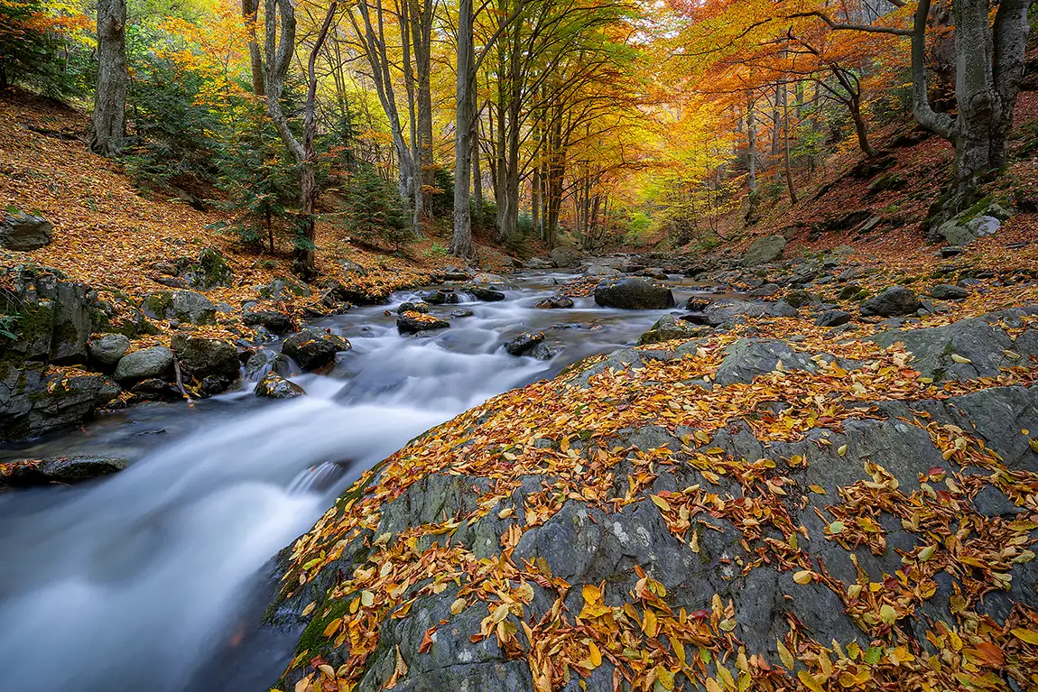 Old River Reserve, Karlovo, Bulgaria