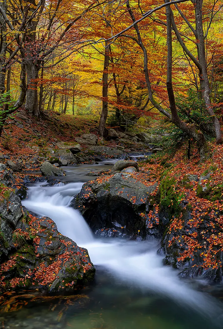 The Old River Reserve, Karlovo, Bulgaria