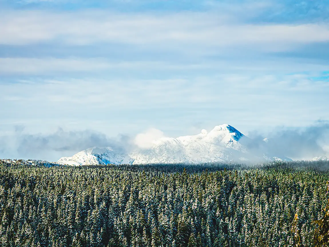 Vancouver Island Winter, Courtenay, British Columbia, Canada
