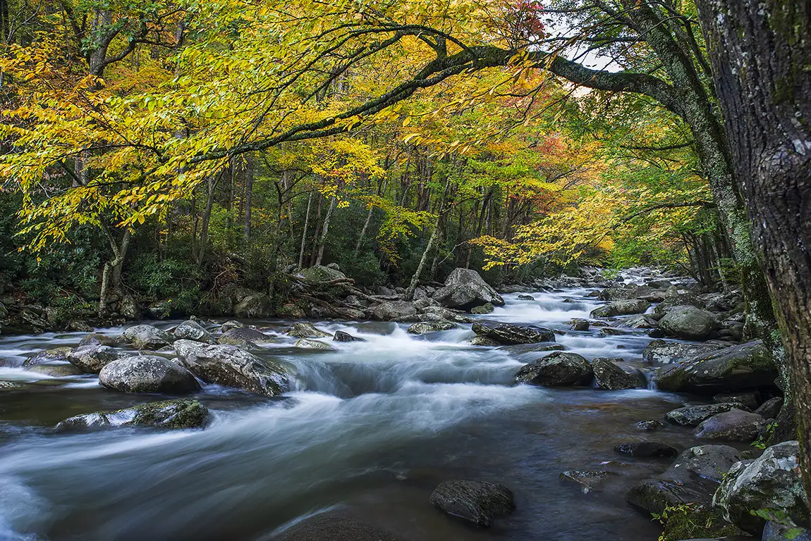 Autumn In The Smoky Mountains, Great Smoky Mountains National Park, USA