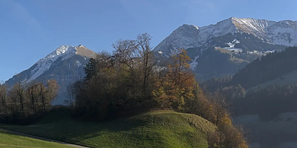 Beautiful Small forest, Erlenbach Im Simmental, Niedersimmental, Bern, Switzerland
