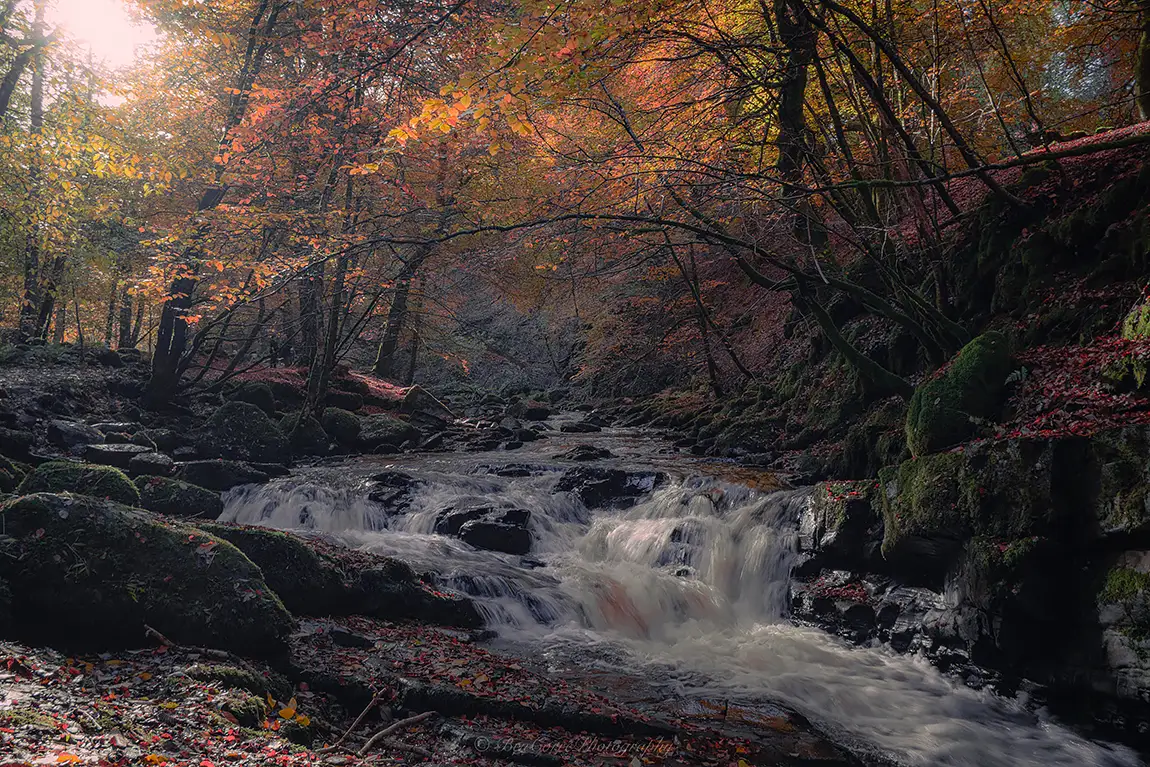 Fall's Rushing Veil, Aberfeldy, Scotland