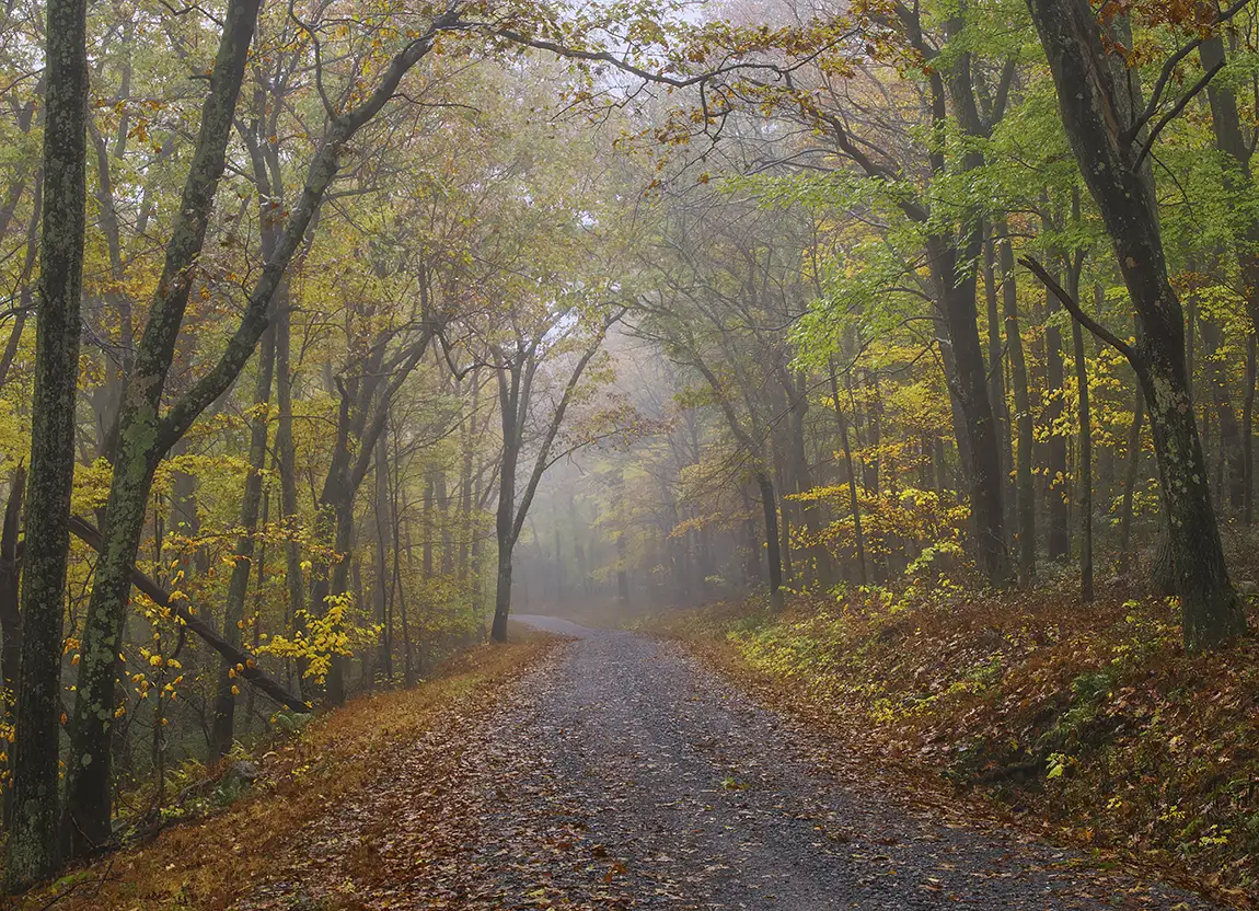 Kettle Road Autumn, Pennsylvania, USA