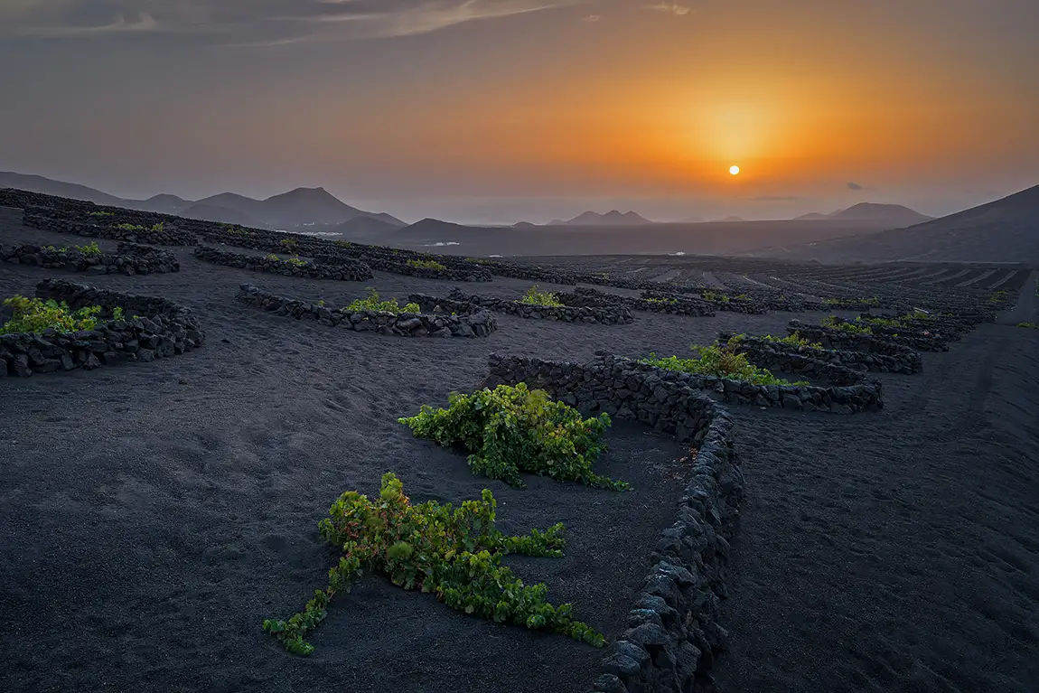 La Geria Sunset, Lanzarote, Canary Islands, Spain