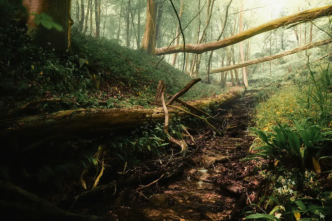 Little Stream In The Cotswolds, Gloucestershire, England