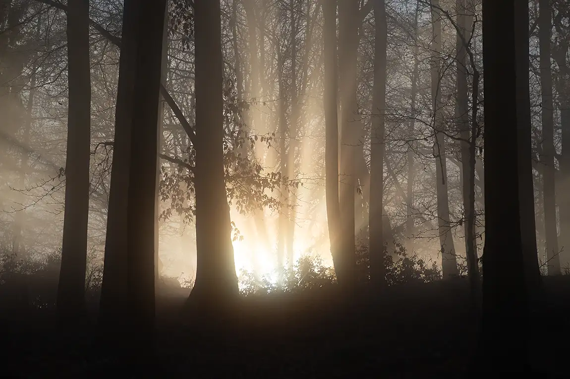 Magical Play Of Light, Klenovec, Banskobystricky, Slovakia