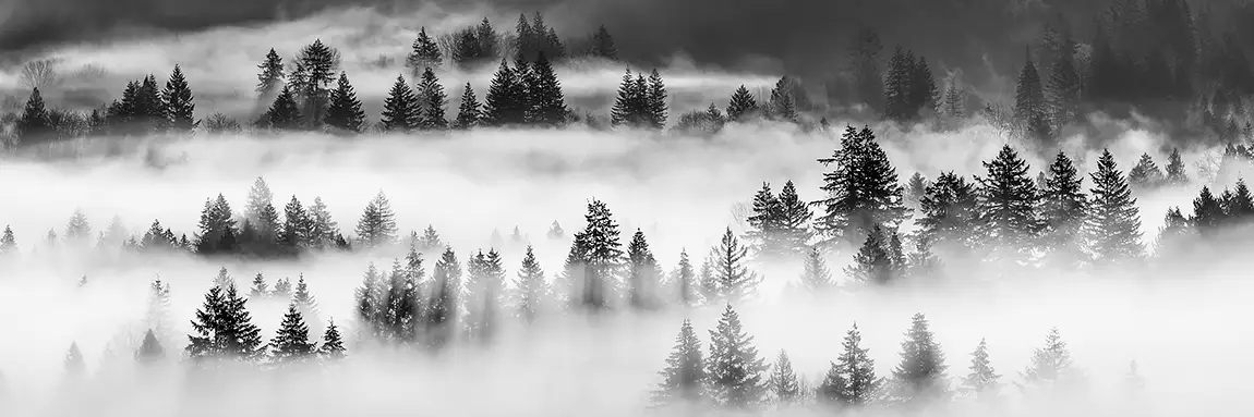 One Foggy Morning, Jonsrud Viewpoint, Sandy, Oregon, USA
