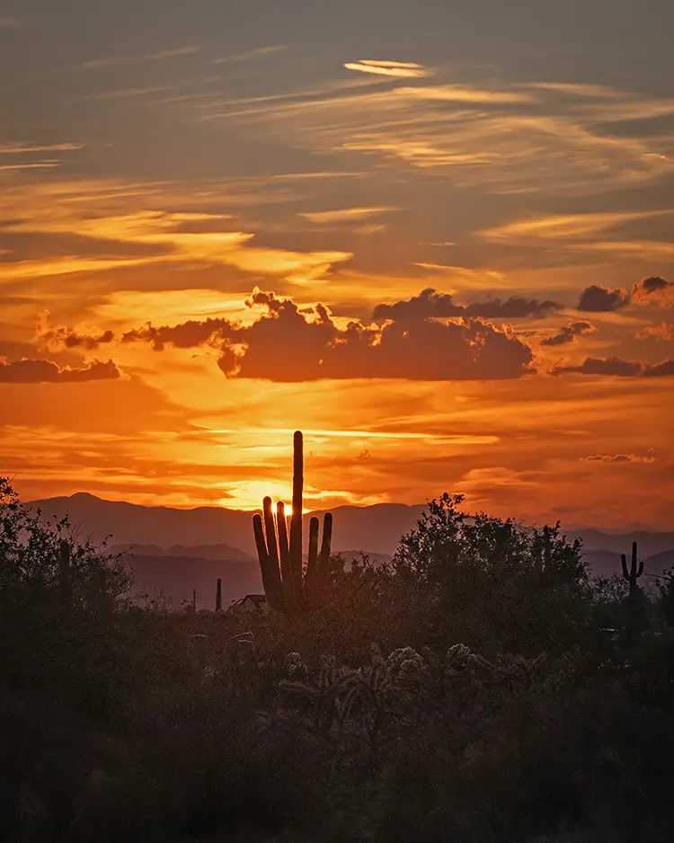 Sonoran Sunset, Scottsdale, Maricopa County, Arizona, USA