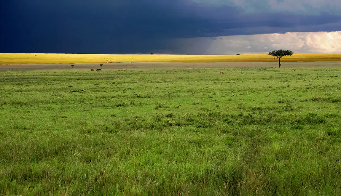 Sunset Over African Savanna, Maasai Mara, Kenya
