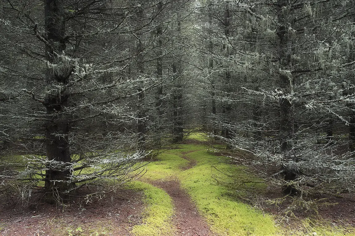 The Mysterious Path, Bic National Park, Quebec, Canada