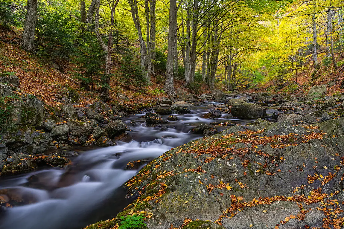The Reserve Old River, Karlovo, Bulgaria
