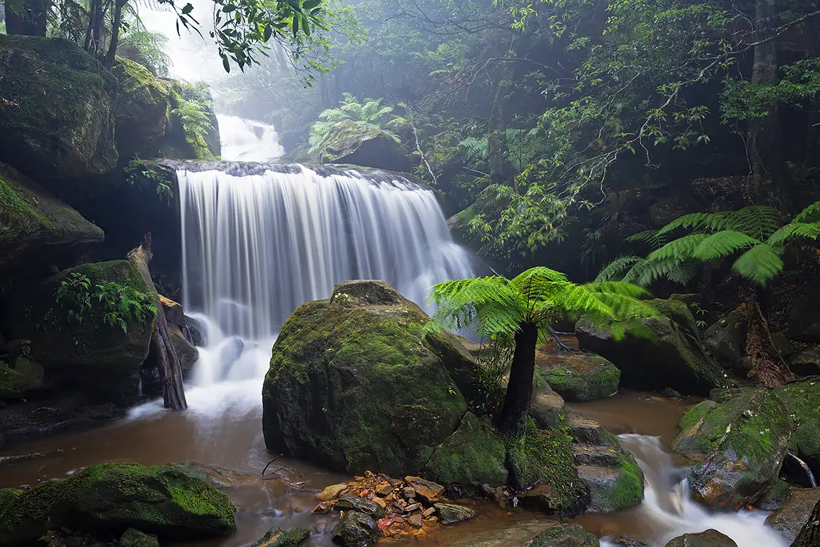 Weeping Rock, Leura Forest, BLue Mountains, Australia