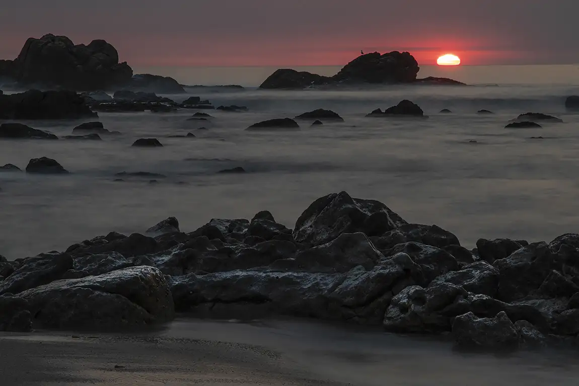 Admiring The Sunset, Lavra, Matosinhos, Porto, Portugal