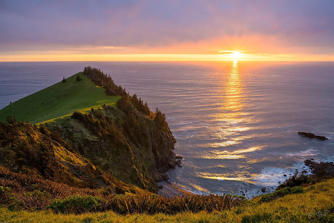 Cascade Head, Tillamook, Oregon, USA