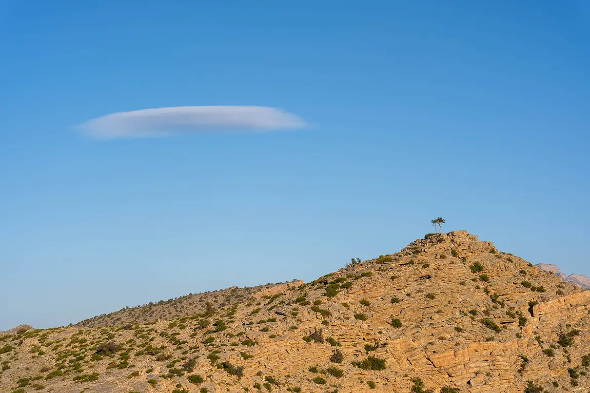 Cloud And Tree, Jebel Hat, Oman