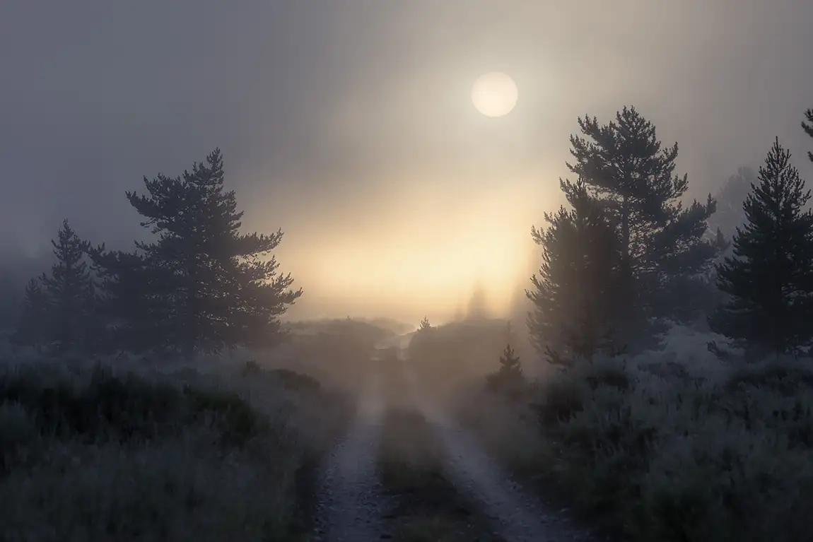 Foggy Sunrise, Teton Valley, Wyoming, USA