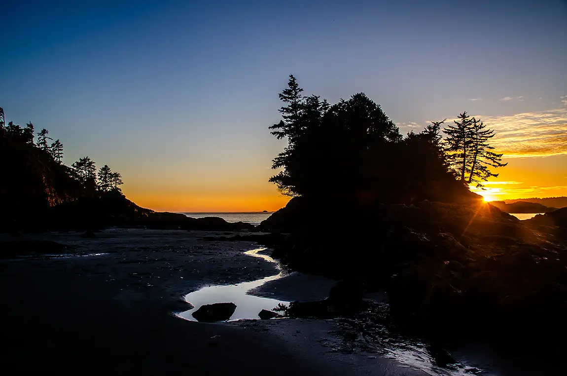 Golden Note And Silhouettes, Tinwis Beach, Vancouver Island, British Columbia, Canada