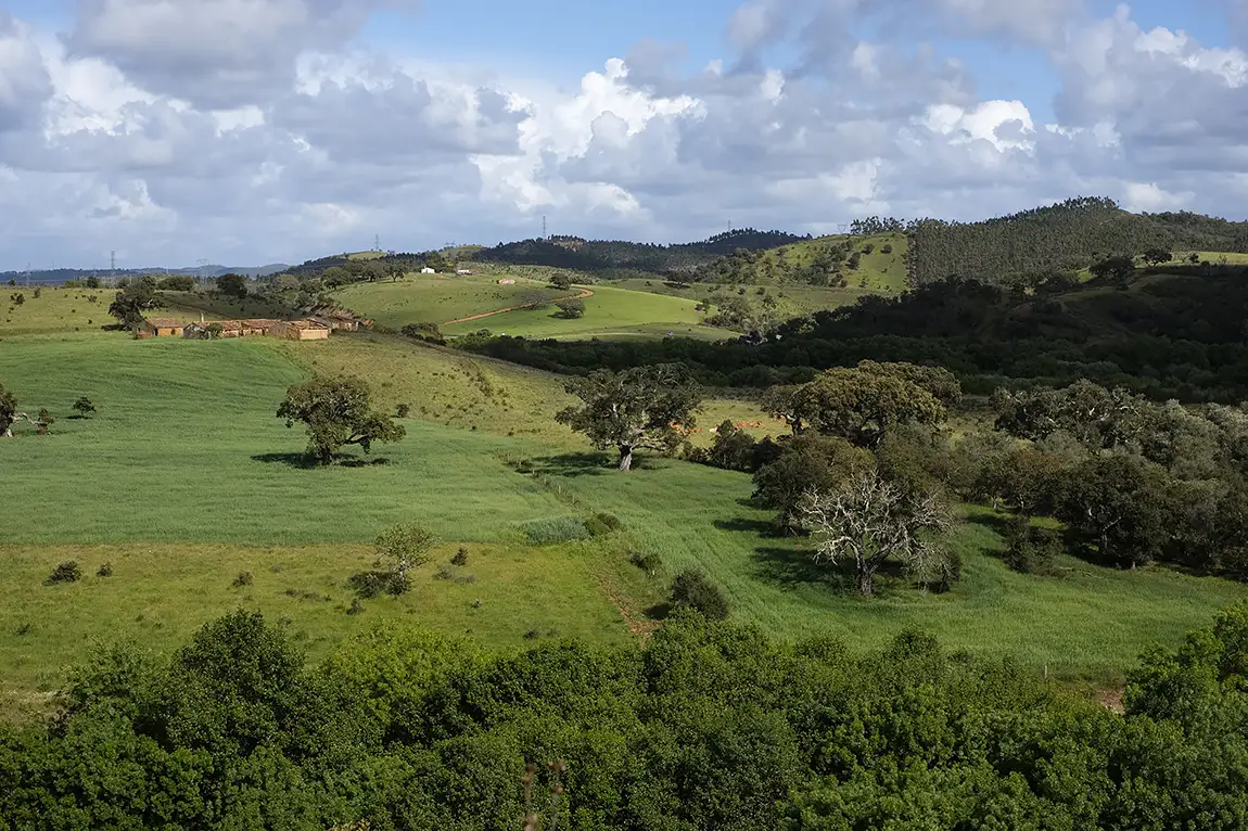 Green Hills, Odemira, Alentejo, Portugal
