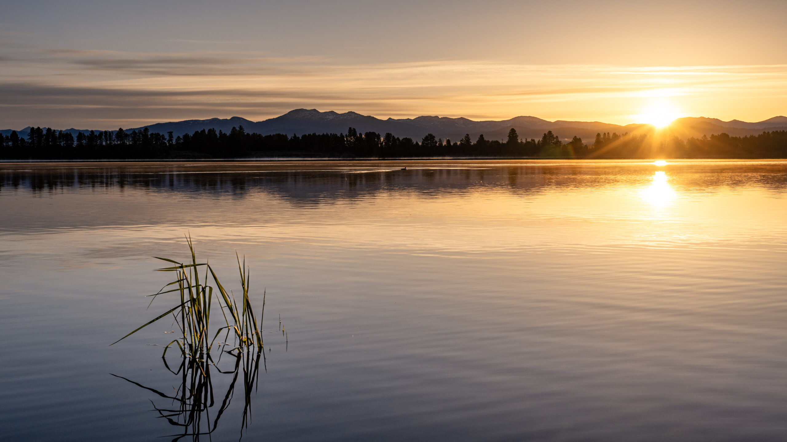 Morning reflection