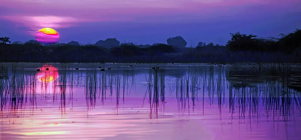 Nalsarovar Bird Sanctuary, Ahmedabad, Gujarat, India