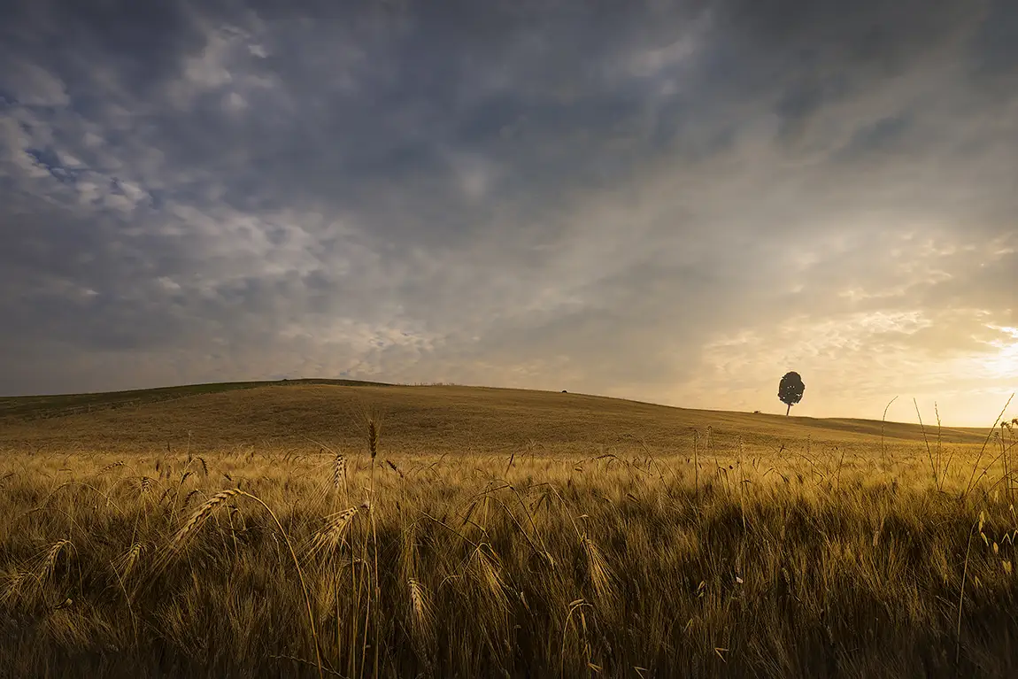 Orciano Pisano Hills Sunrise, Italy