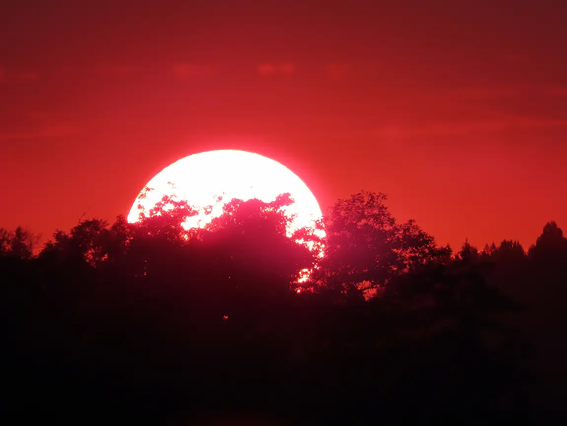 Smoky September Sunset, Serpentine Fen, Surrey, BC, Canada