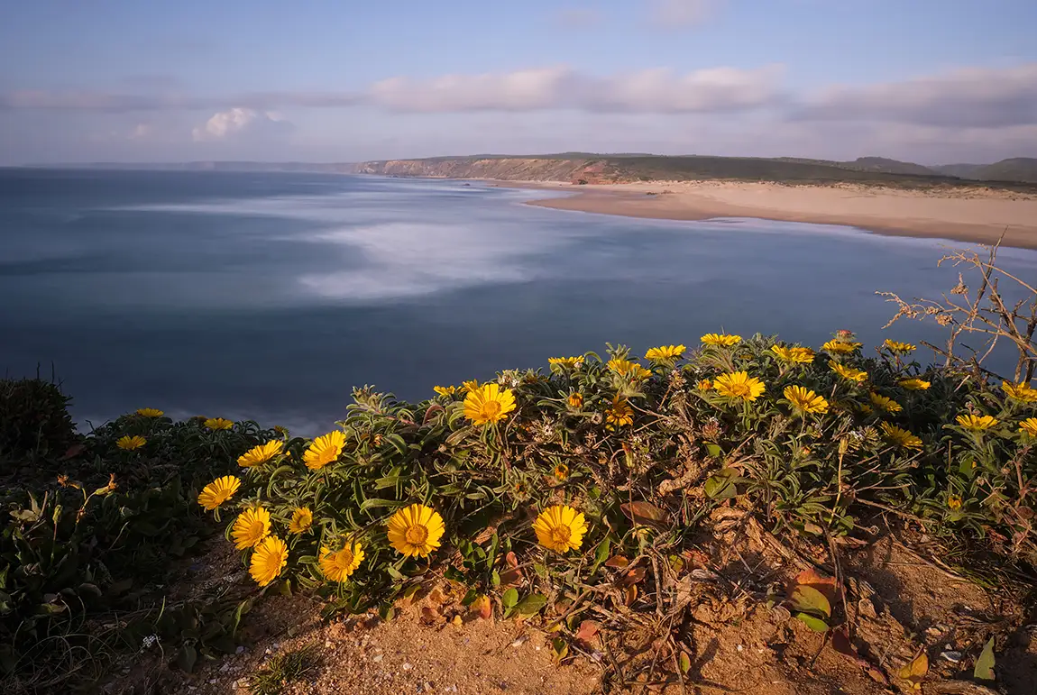 Springtime, Carrapateira, Portugal