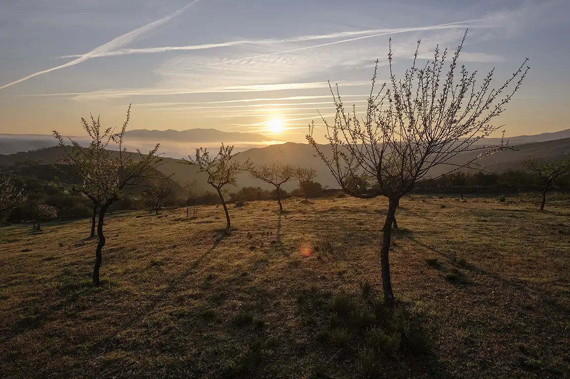 Sunrise In The Fields, Vila Nova de Foz Coa, Portugal